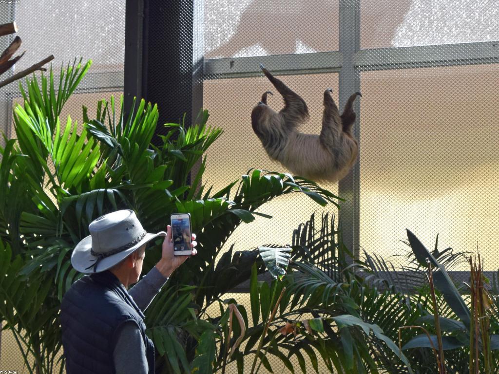 ការយល់ដឹងអំពីស្លុត: ស្ថានដែលរស់នៅ និងការប្រព្រឹត្តិ